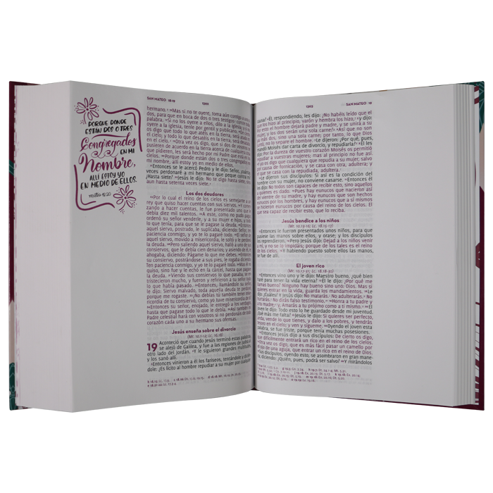 Biblia Adoro | Reina Valera 1960 | Letra grande 11 pts | Tapa dura flores