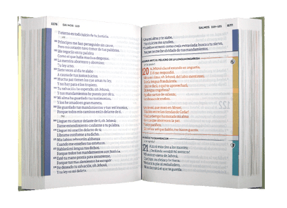 Biblia de Estudio de Oración | Reina Valera 1960 | Letra gigante | Tapa dura | Español