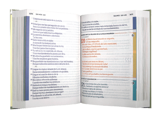 Biblia de Estudio de Oración | Reina Valera 1960 | Letra gigante | Tapa dura | Español