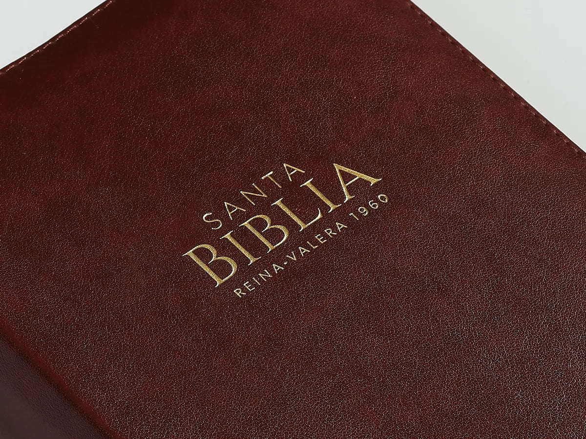 Biblia Reina Valera 1960 | Letra grande 11 pts | Cierre | Café oscuro