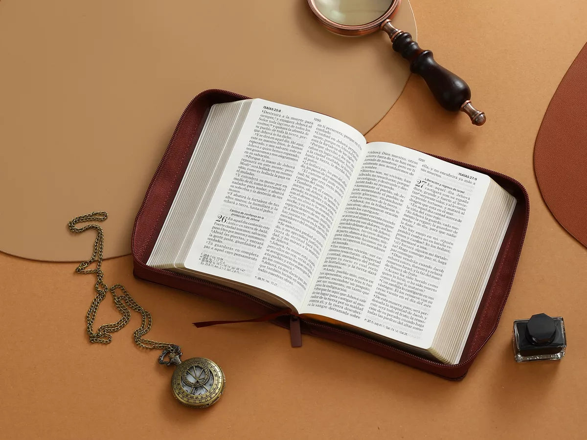 Biblia Reina Valera 1960 | Letra grande 11 pts | Cierre | Café oscuro