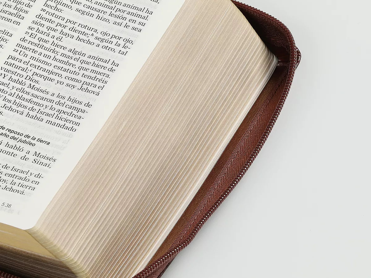 Biblia Reina Valera 1960 | Letra grande 11 pts | Cierre | Café oscuro