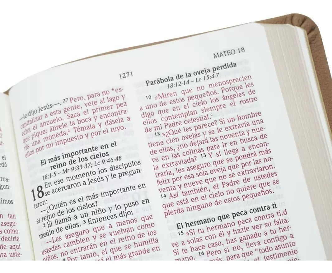 Santa Biblia | NVI | Letra Grande | Edición Bolsillo | Imitación Piel