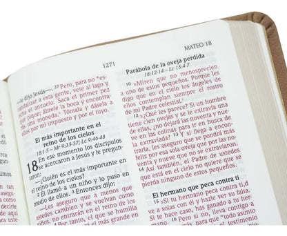 Santa Biblia | NVI | Letra Grande | Edición Bolsillo | Imitación Piel