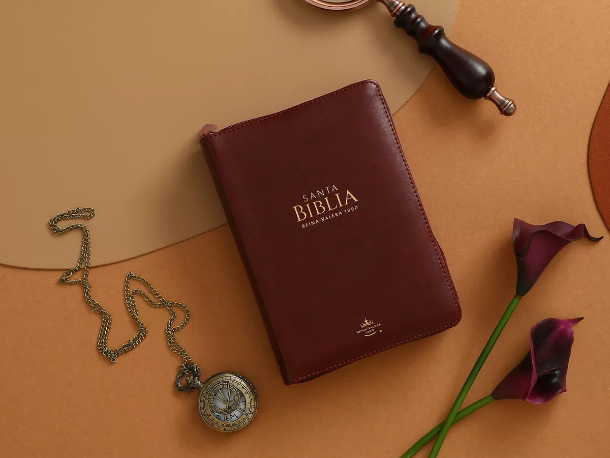 Biblia Reina Valera 1960 | Letra grande 11 pts | Cierre | Café oscuro