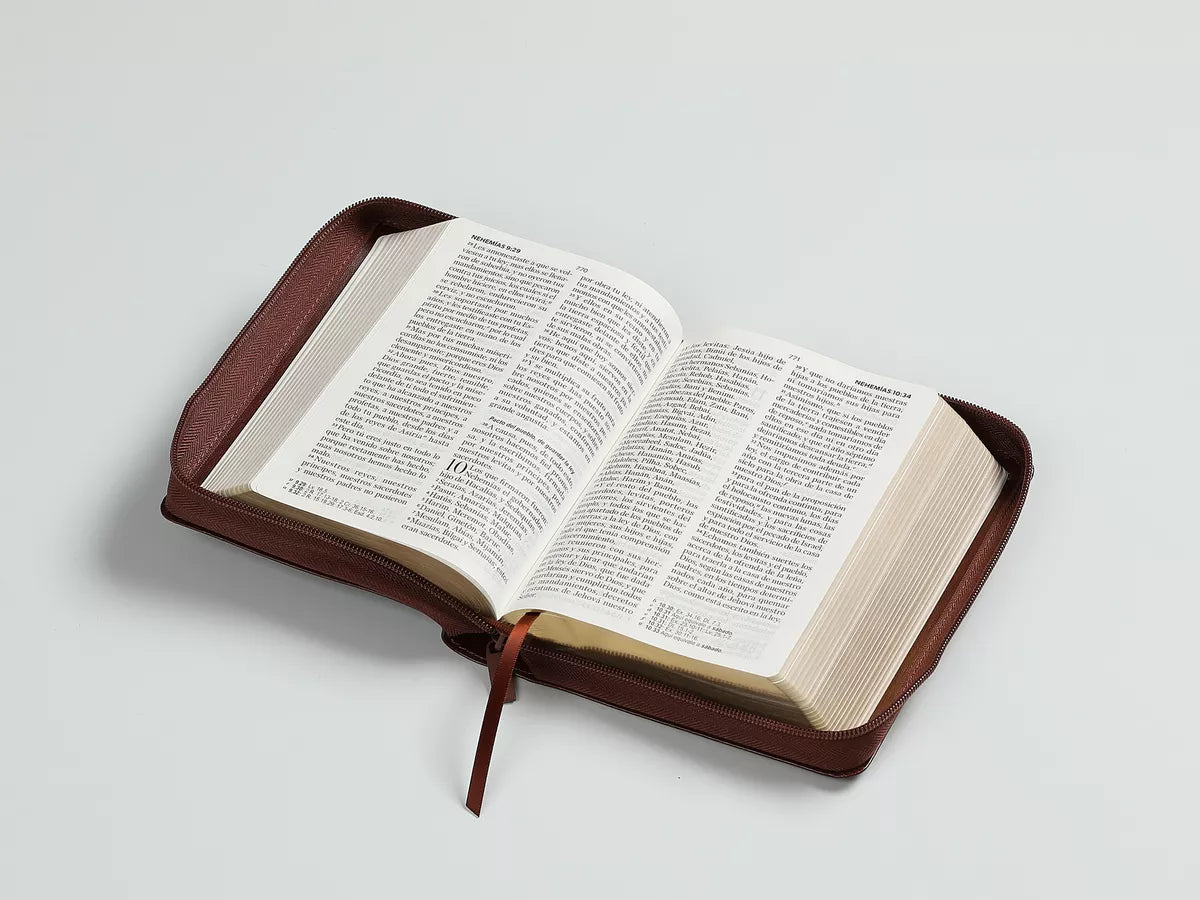 Biblia Reina Valera 1960 | Letra grande 11 pts | Cierre | Café oscuro
