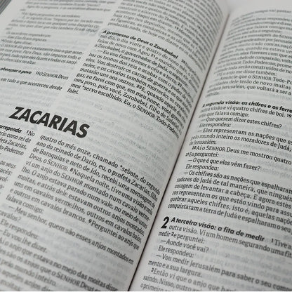 Bíblia Sagrada Flores | NTLH | Letra Normal | Capa Dura Ilustrada