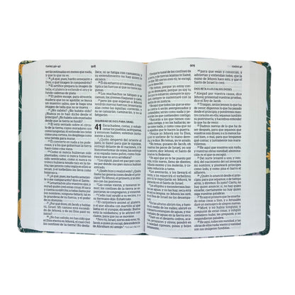Biblia Reina Valera 1960 | Letra grande 12 pts | Tamaño manual | Verde floral | Edición especial | Español