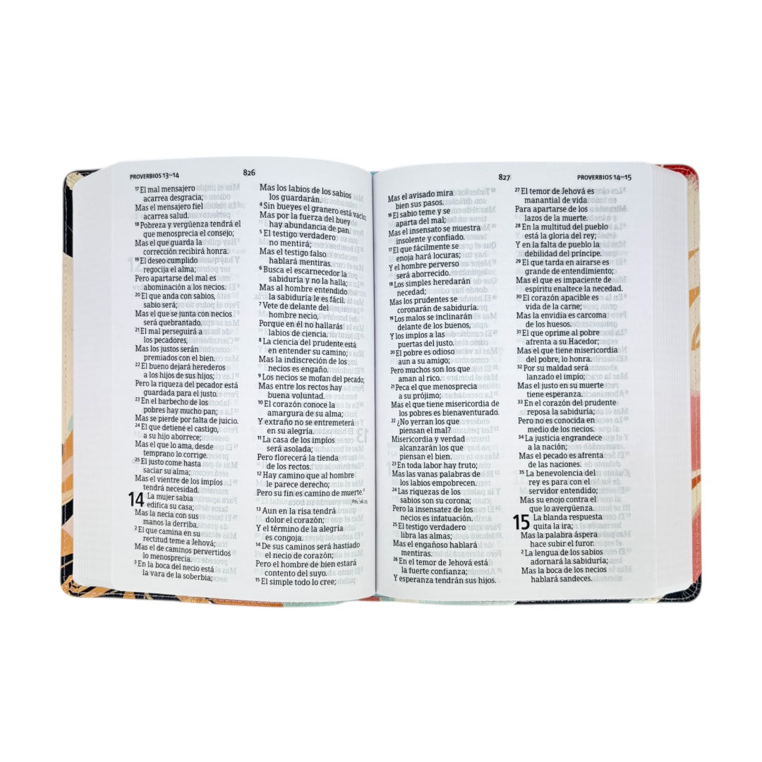 Biblia Reina Valera 1960 | Letra grande 12 pts | Tamaño manual | Símil piel multicolores | Español