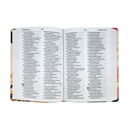 Biblia Reina Valera 1960 | Letra grande 12 pts | Tamaño manual | Símil piel multicolores | Español