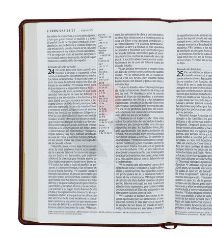 Santa Biblia | RVR 1960 | Ultrafina | Letra grande 10 pts | Imitación piel café rojizo