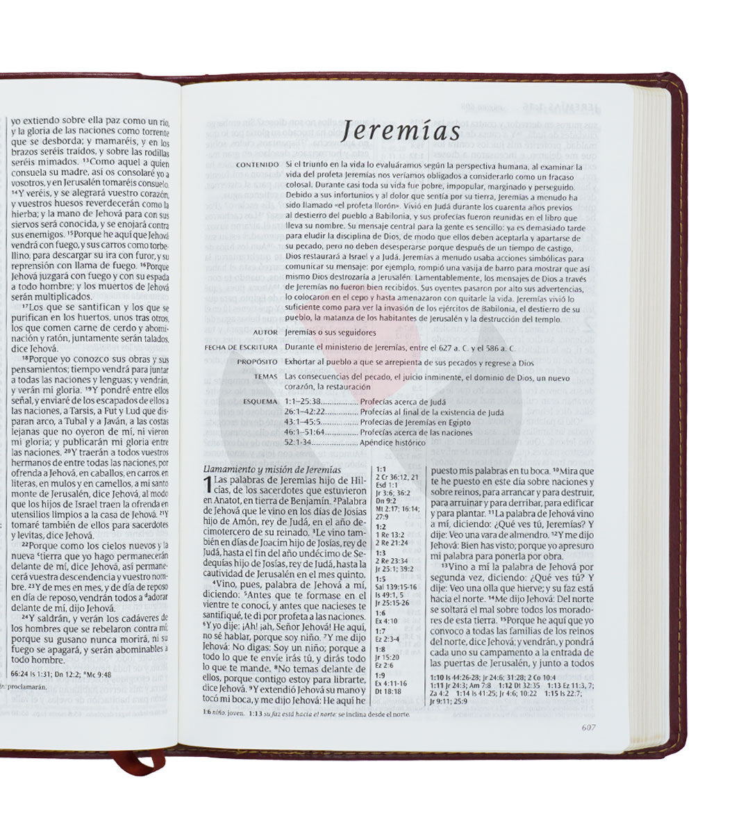 Santa Biblia | RVR 1960 | Ultrafina | Letra grande 10 pts | Imitación piel café rojizo