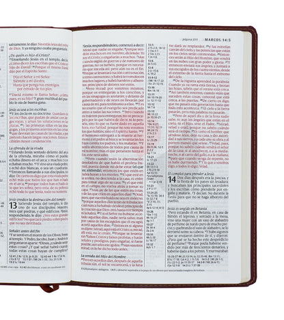 Santa Biblia | RVR 1960 | Ultrafina | Letra grande 10 pts | Imitación piel café rojizo