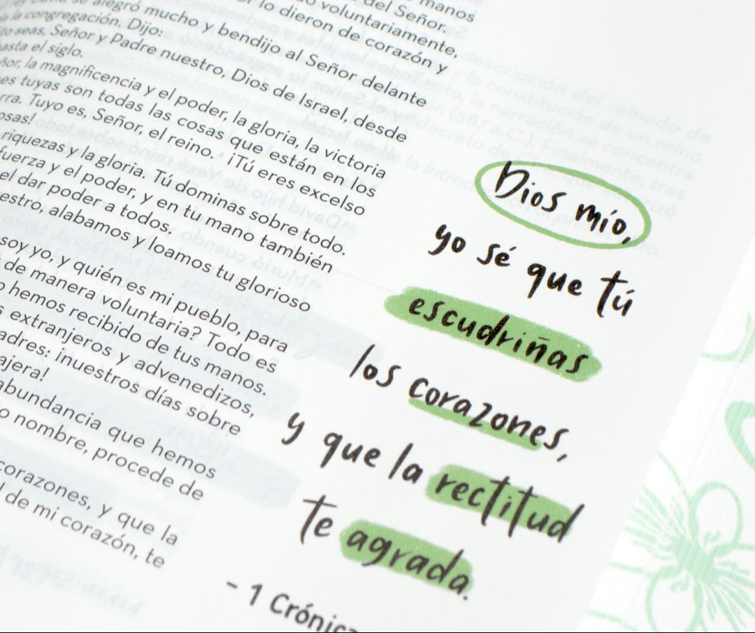 Biblia Devocional BibliArte | RVC | Tapa dura colorida | Letra grande 12 pts |