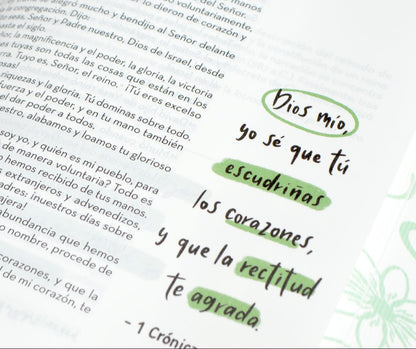 Biblia Devocional BibliArte | RVC | Tapa dura colorida | Letra grande 12 pts |