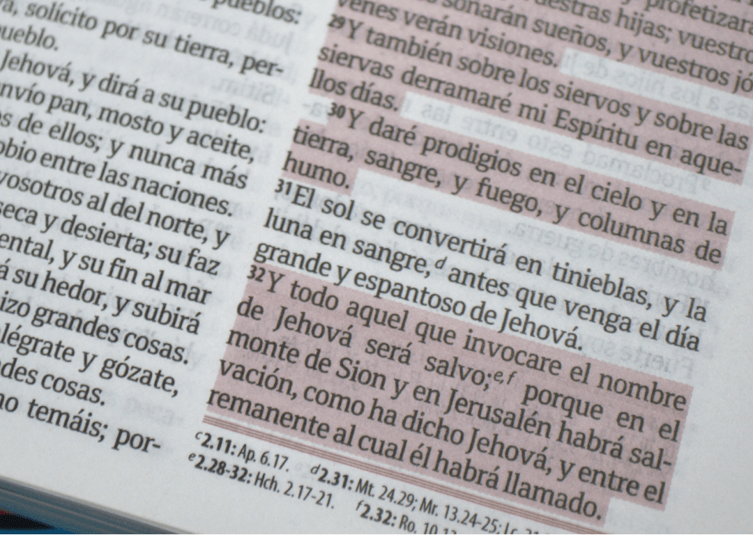 Biblia Fuente de Bendiciones | RVR60