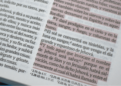 Biblia Fuente de Bendiciones | RVR60