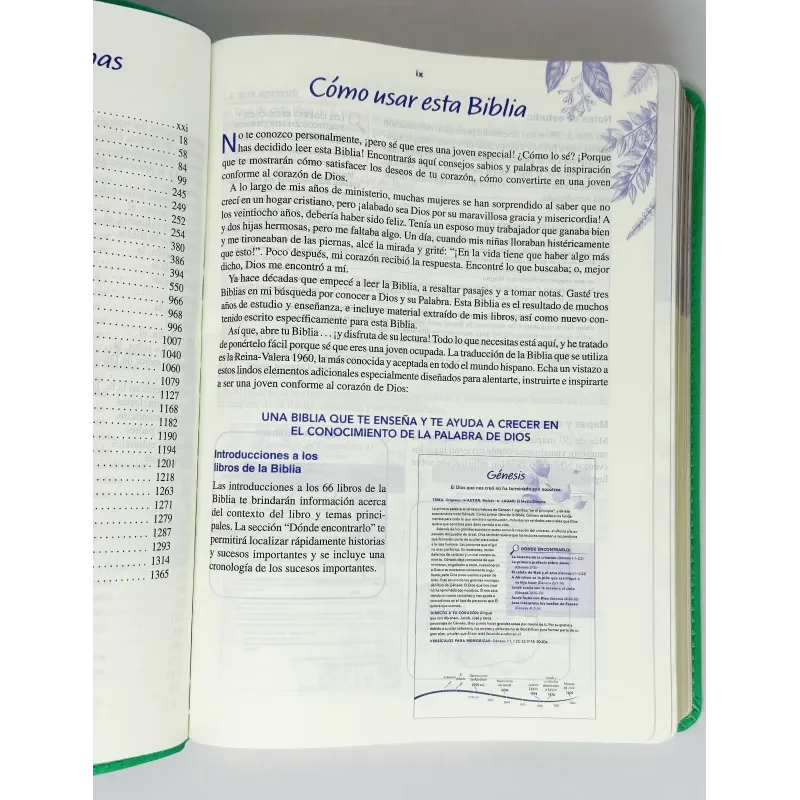 Biblia de una joven conforme al corazón de Dios | Verde | Devocional