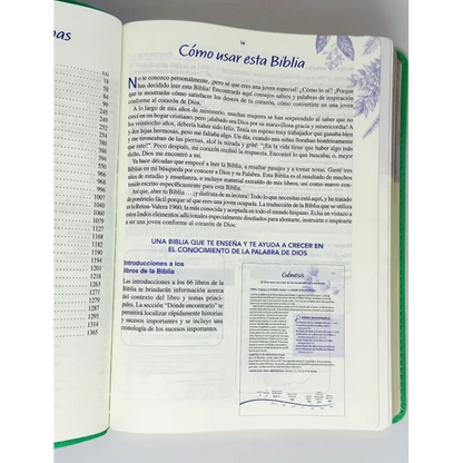 Biblia de una joven conforme al corazón de Dios | Verde | Devocional