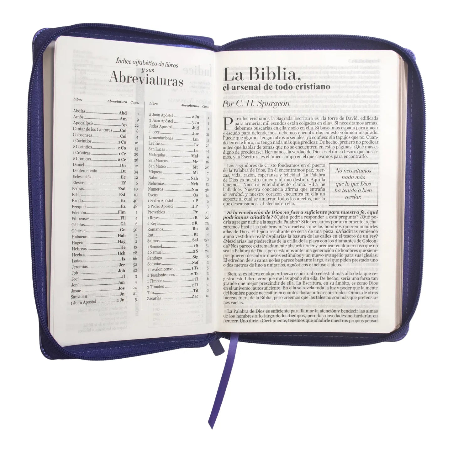 Biblia Reina Valera 1960 | Letra grande 12 pts | Tamaño manual | Imitación piel lila | Con cierre | Colección clásica