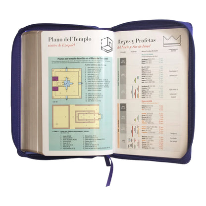 Biblia Reina Valera 1960 | Letra grande 12 pts | Tamaño manual | Imitación piel lila | Con cierre | Colección clásica