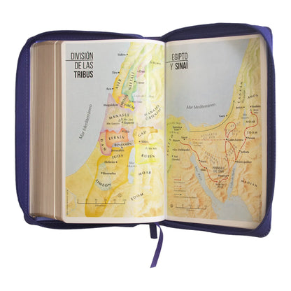 Biblia Reina Valera 1960 | Letra grande 12 pts | Tamaño manual | Imitación piel lila | Con cierre | Colección clásica