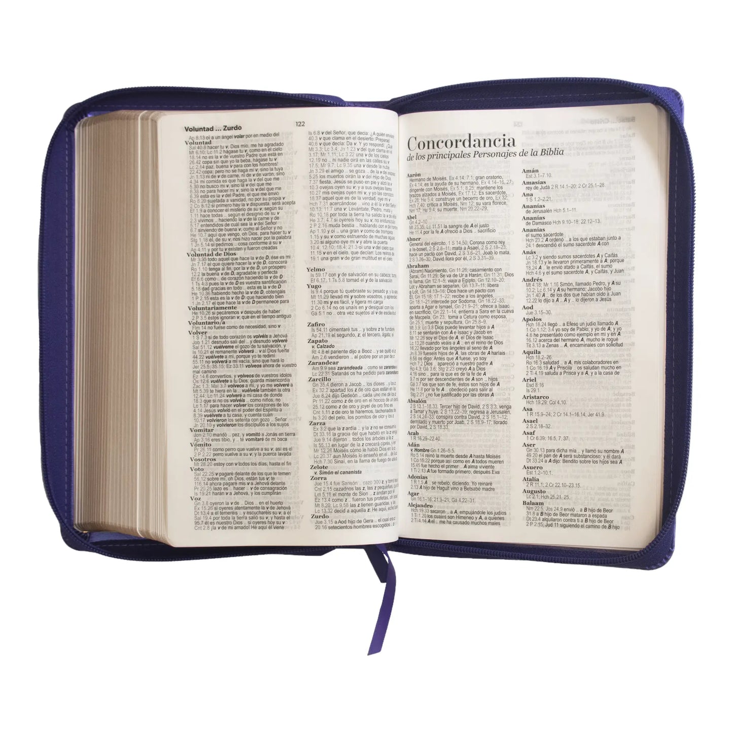 Biblia Reina Valera 1960 | Letra grande 12 pts | Tamaño manual | Imitación piel lila | Con cierre | Colección clásica