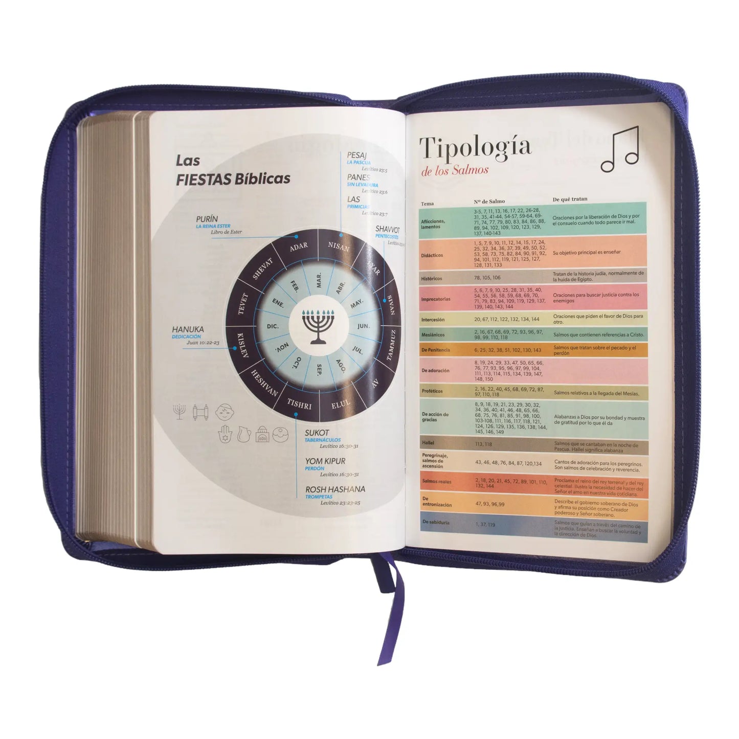 Biblia Reina Valera 1960 | Letra grande 12 pts | Tamaño manual | Imitación piel lila | Con cierre | Colección clásica