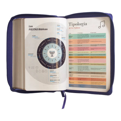 Biblia Reina Valera 1960 | Letra grande 12 pts | Tamaño manual | Imitación piel lila | Con cierre | Colección clásica
