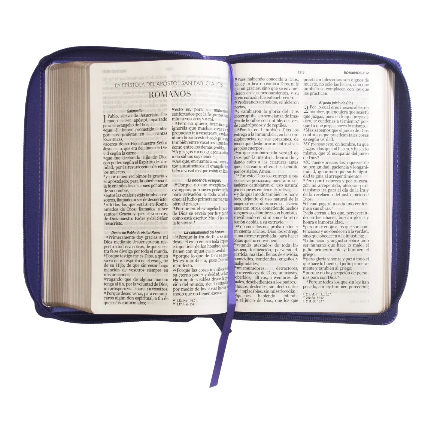 Biblia Reina Valera 1960 | Letra grande 12 pts | Tamaño manual | Imitación piel lila | Con cierre | Colección clásica