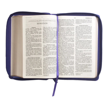 Biblia Reina Valera 1960 | Letra grande 12 pts | Tamaño manual | Imitación piel lila | Con cierre | Colección clásica