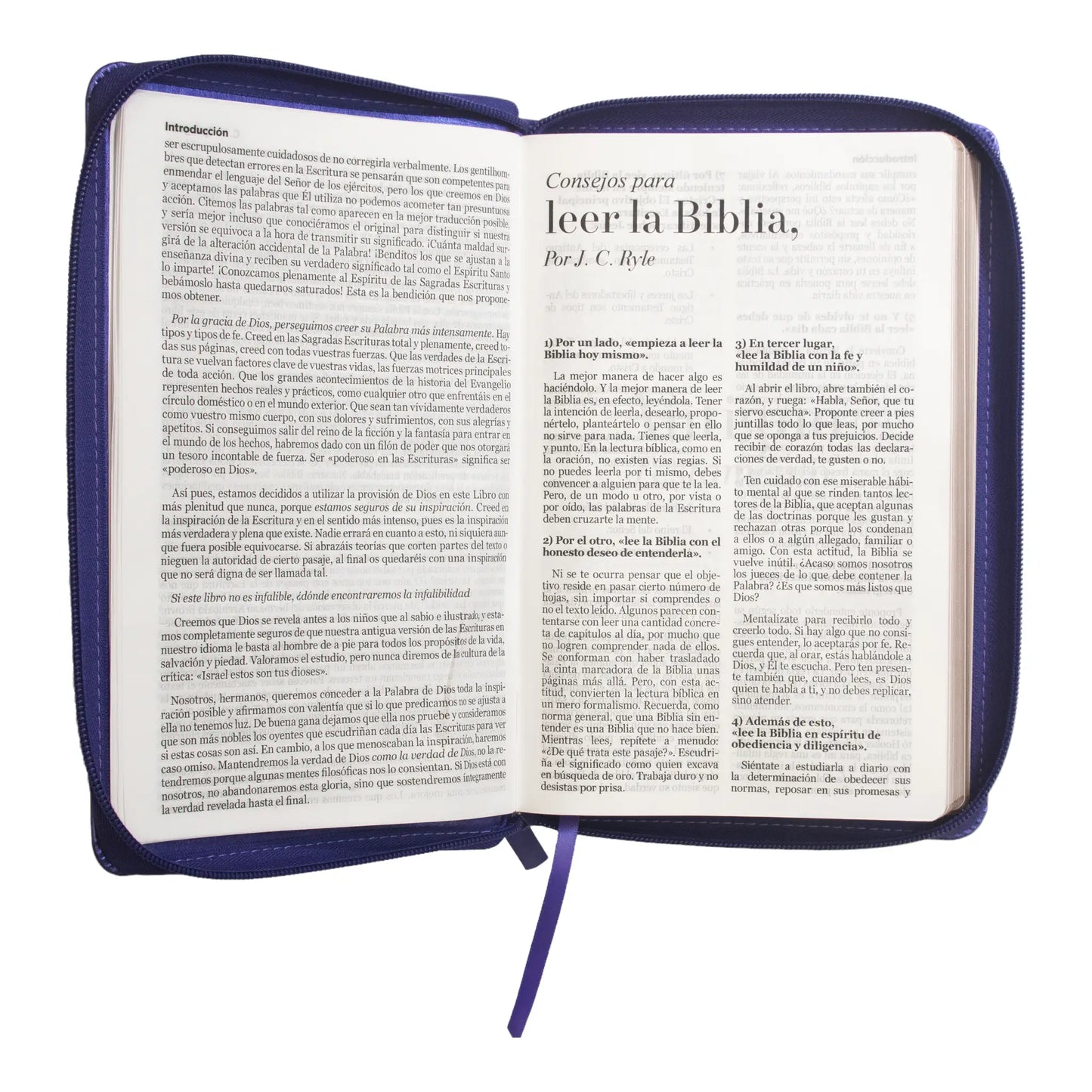 Biblia Reina Valera 1960 | Letra grande 12 pts | Tamaño manual | Imitación piel lila | Con cierre | Colección clásica