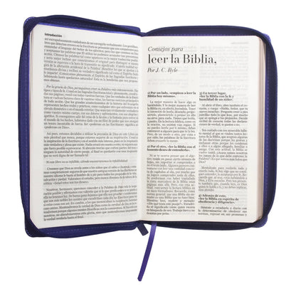 Biblia Reina Valera 1960 | Letra grande 12 pts | Tamaño manual | Imitación piel lila | Con cierre | Colección clásica