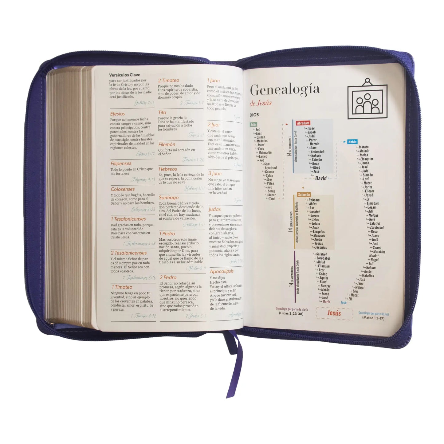 Biblia Reina Valera 1960 | Letra grande 12 pts | Tamaño manual | Imitación piel lila | Con cierre | Colección clásica