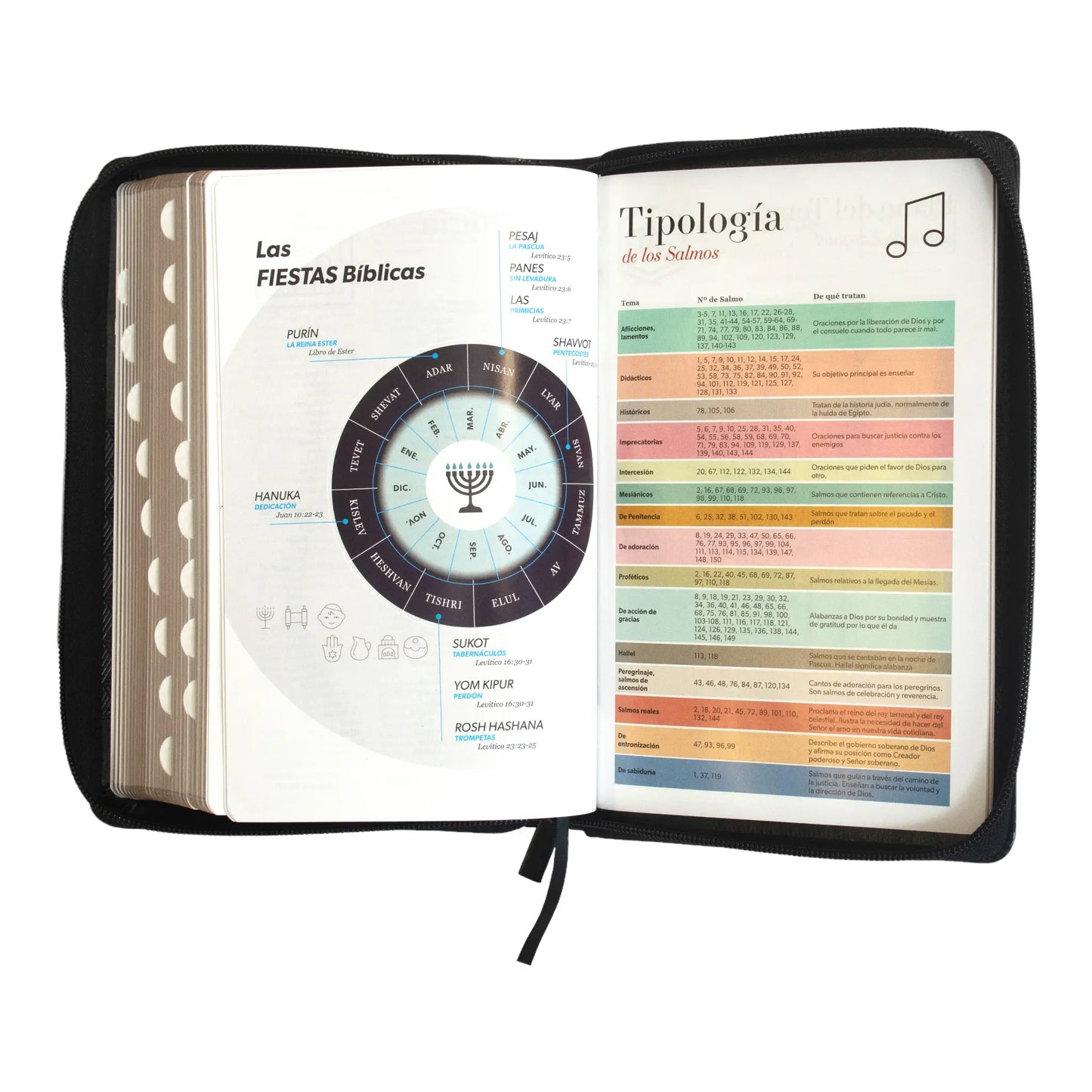 Biblia Reina Valera 1960 | Tamaño manual | Letra grande 12 pts | Negro con cierre e índice | Imitación piel