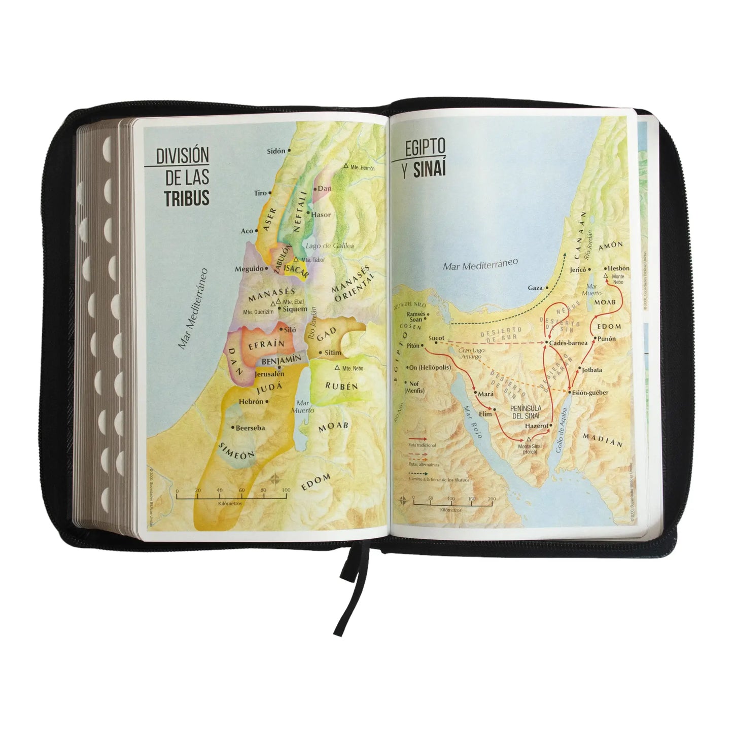 Biblia Reina Valera 1960 | Tamaño manual | Letra grande 12 pts | Negro con cierre e índice | Imitación piel