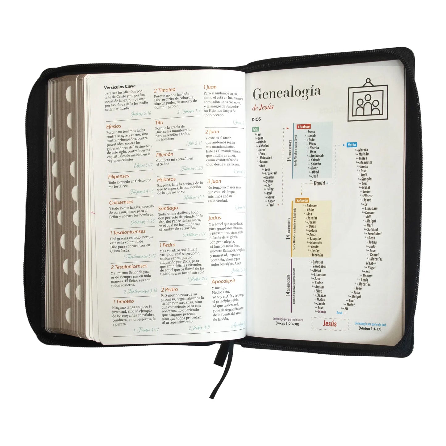 Biblia Reina Valera 1960 | Tamaño manual | Letra grande 12 pts | Negro con cierre e índice | Imitación piel