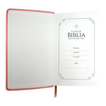 Biblia Reina Valera 1960 | Tamaño manual | Letra grande 12 pts | Imitación piel rosa claro | Colección clásica