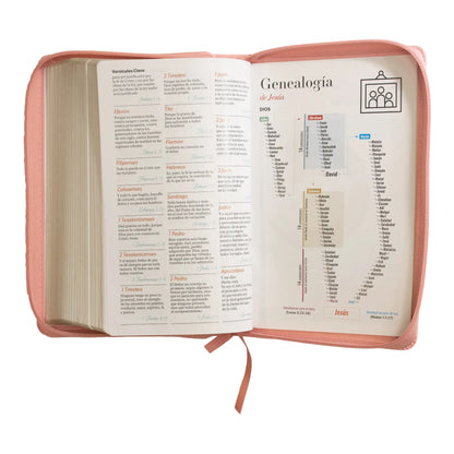 Biblia Reina Valera 1960 | Letra grande 12 pts | Tamaño manual | Imitación piel rosa claro | Con cierre