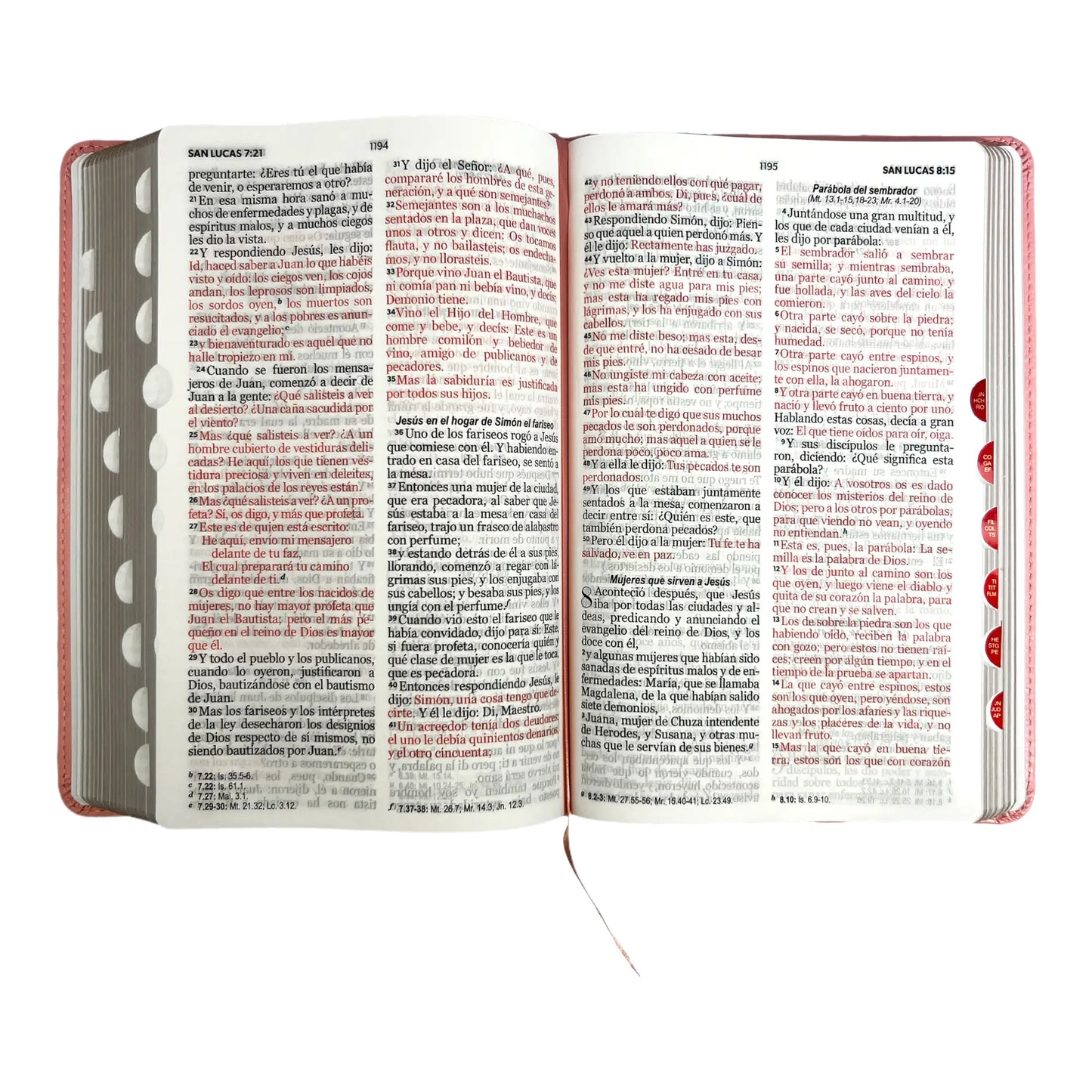 Biblia Reina Valera 1960 | Tamaño manual | Letra grande 12 pts | Imitación piel rosa claro | Con índice | Colección clásica