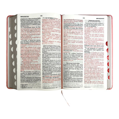 Biblia Reina Valera 1960 | Tamaño manual | Letra grande 12 pts | Imitación piel rosa claro | Con índice | Colección clásica