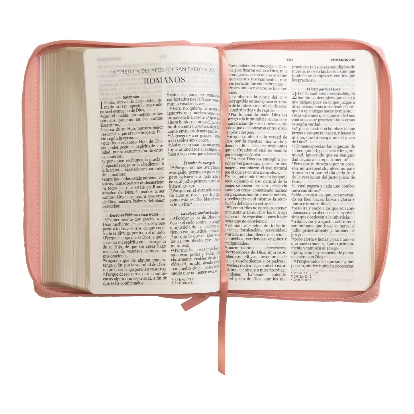 Biblia Reina Valera 1960 | Letra grande 12 pts | Tamaño manual | Imitación piel rosa claro | Con cierre