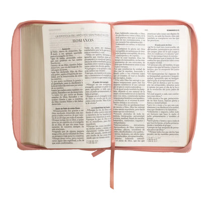 Biblia Reina Valera 1960 | Letra grande 12 pts | Tamaño manual | Imitación piel rosa claro | Con cierre