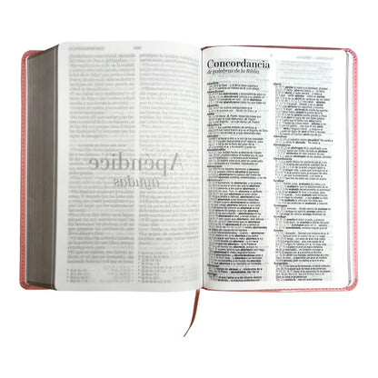Biblia Reina Valera 1960 | Tamaño manual | Letra grande 12 pts | Imitación piel rosa claro | Colección clásica