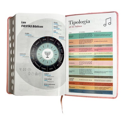 Biblia Reina Valera 1960 | Tamaño manual | Letra grande 12 pts | Imitación piel rosa claro | Con índice | Colección clásica