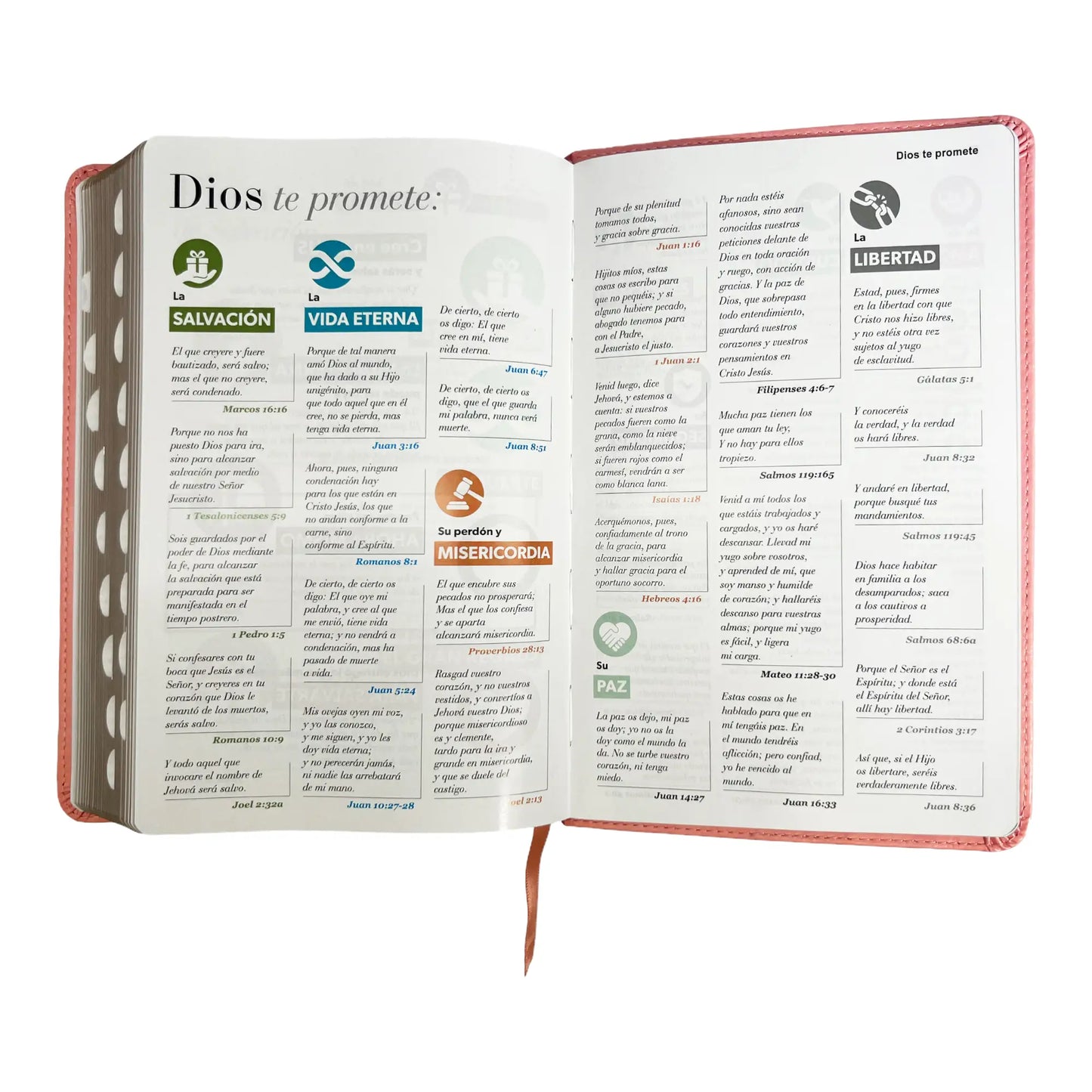 Biblia Reina Valera 1960 | Tamaño manual | Letra grande 12 pts | Imitación piel rosa claro | Con índice | Colección clásica