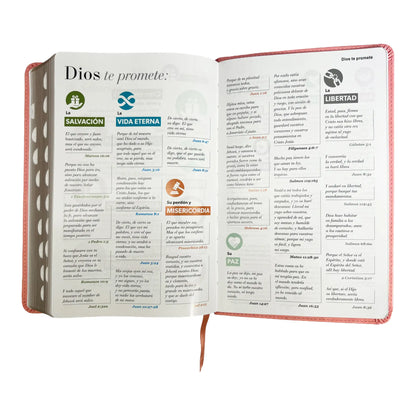 Biblia Reina Valera 1960 | Tamaño manual | Letra grande 12 pts | Imitación piel rosa claro | Con índice | Colección clásica