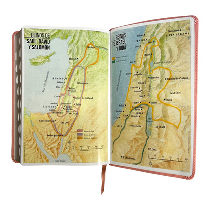 Biblia Reina Valera 1960 | Tamaño manual | Letra grande 12 pts | Imitación piel rosa claro | Con índice | Colección clásica