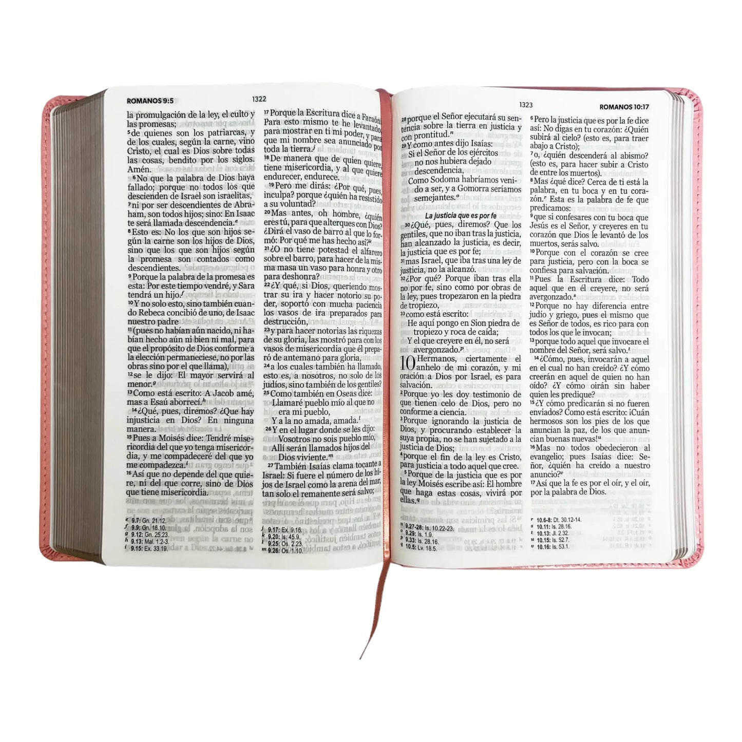 Biblia Reina Valera 1960 | Tamaño manual | Letra grande 12 pts | Imitación piel rosa claro | Colección clásica