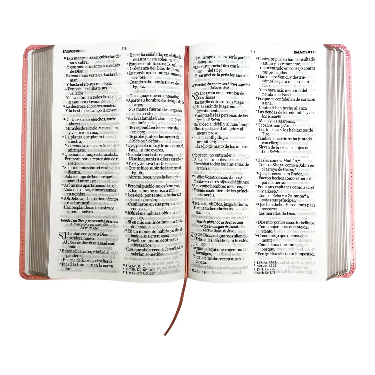 Biblia Reina Valera 1960 | Tamaño manual | Letra grande 12 pts | Imitación piel rosa claro | Colección clásica